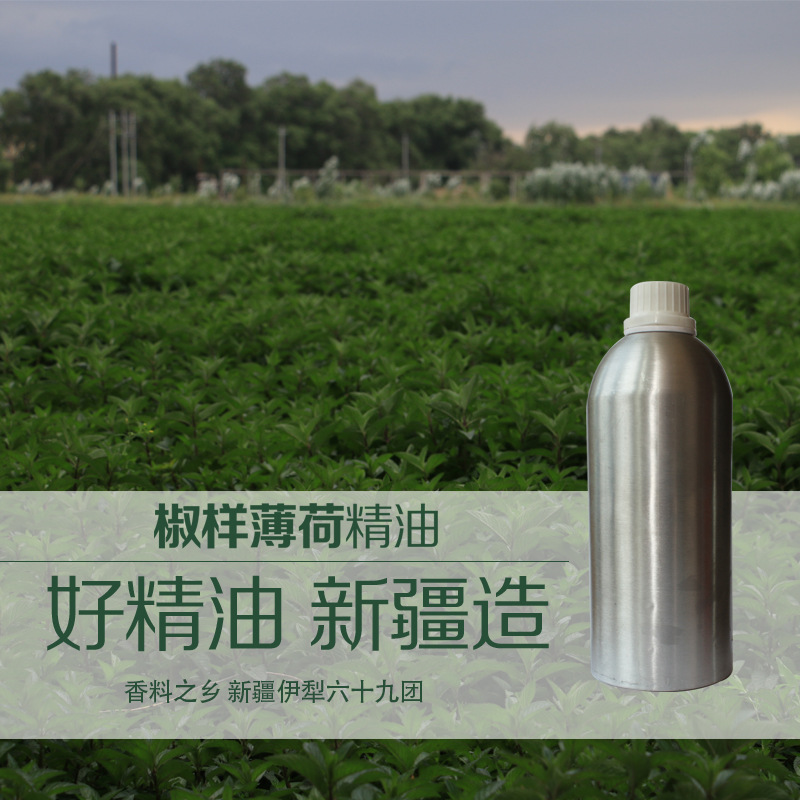 新疆伊犁椒样薄荷精油 欧薄荷辣薄荷 单方芳疗植物油 厂家批发