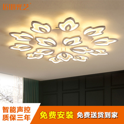 Living room lights Simplicity modern atmosphere household LED Ceiling lamp originality personality Postmodern Acrylic bedroom lamps and lanterns