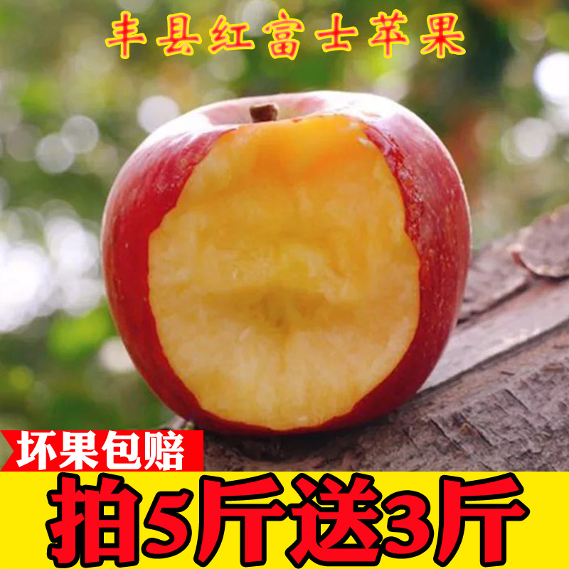 [Full house]fresh Fengxian County Red Fuji Rock sugar Ugly apple 5 pounds Juicy 10