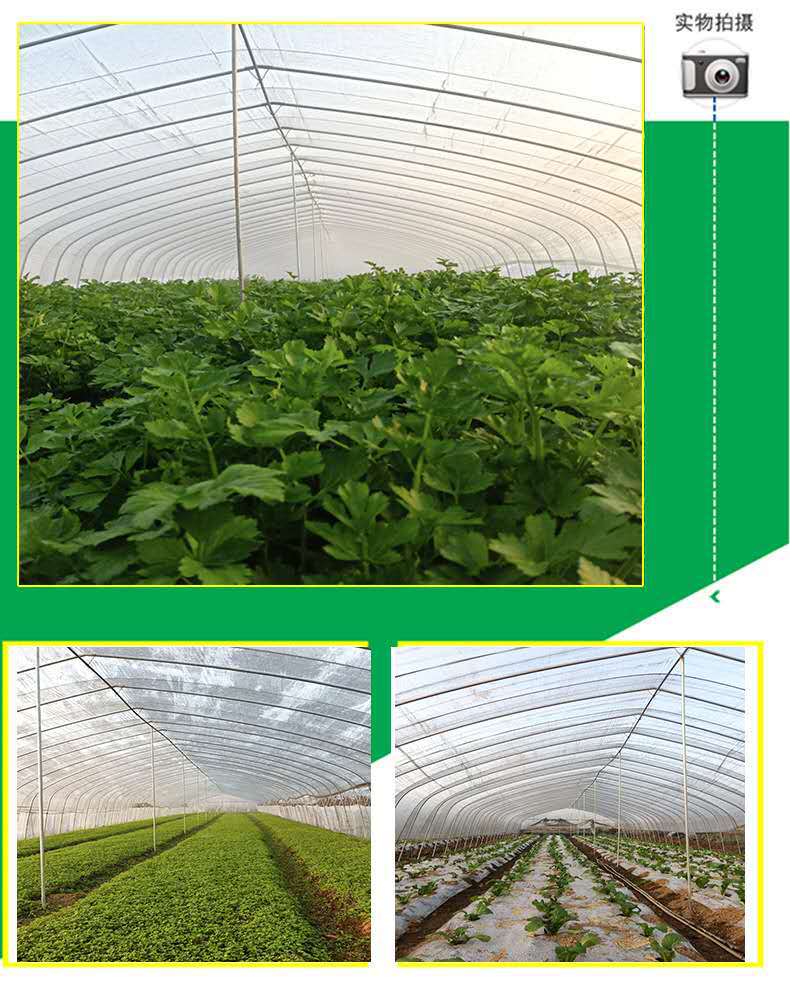 76c6183c18ccbd5c27d006e01dce6f