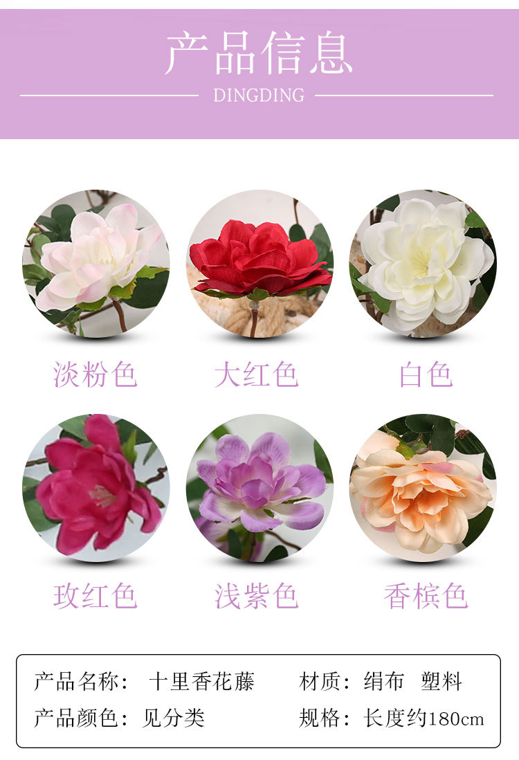 I-_巴度_2020_4月_丁丁仿真花9800_丁丁仿真花_