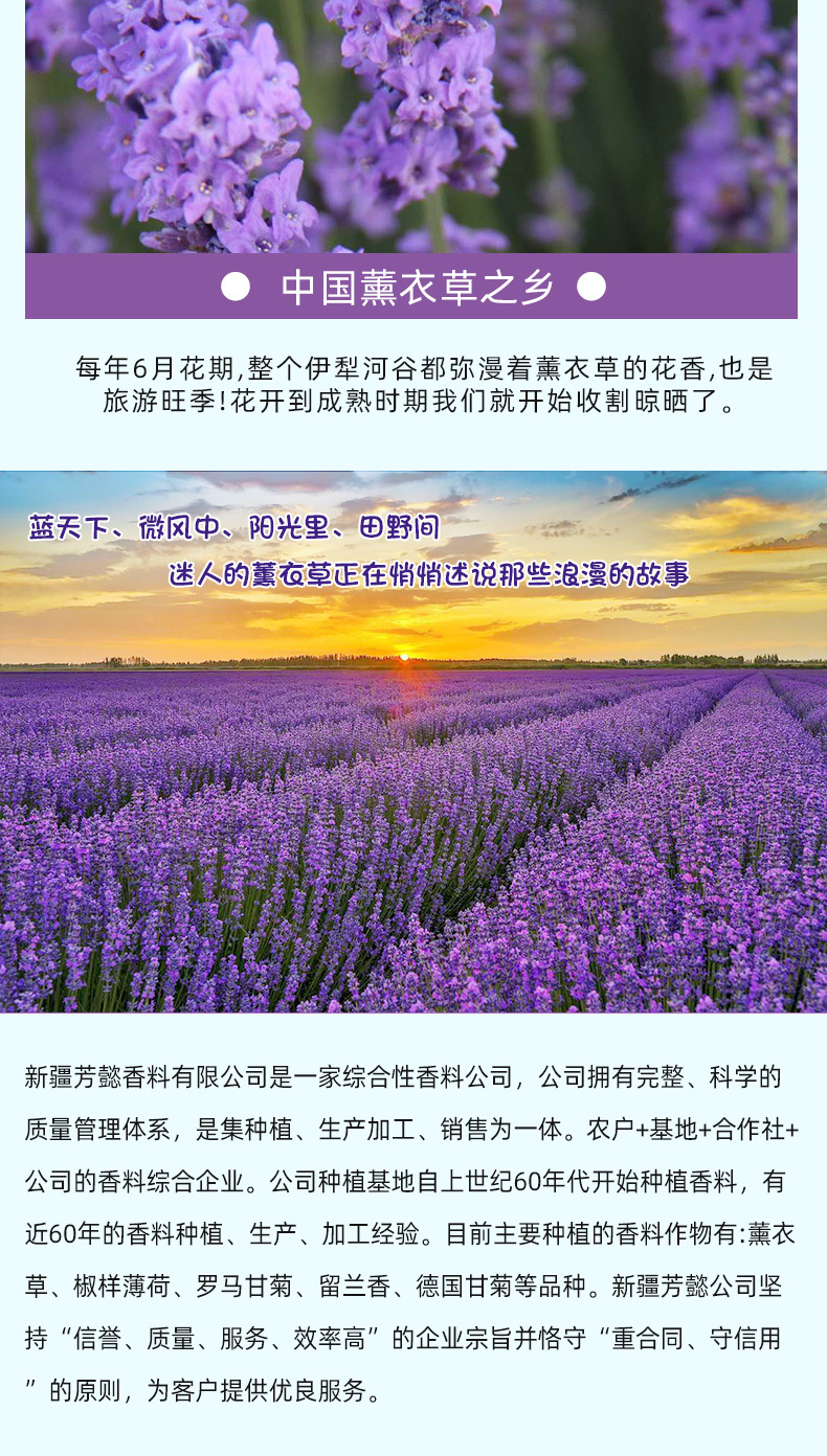 详情_10