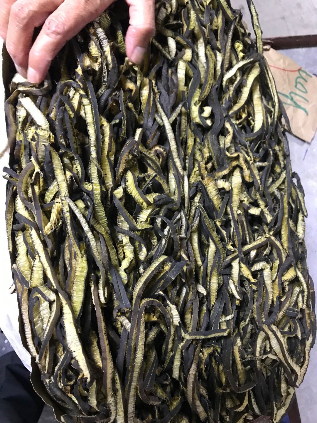 厂家批发13153407879 海茸丝 海茸条 海茸 海笋 海笋干货批发-阿里巴巴