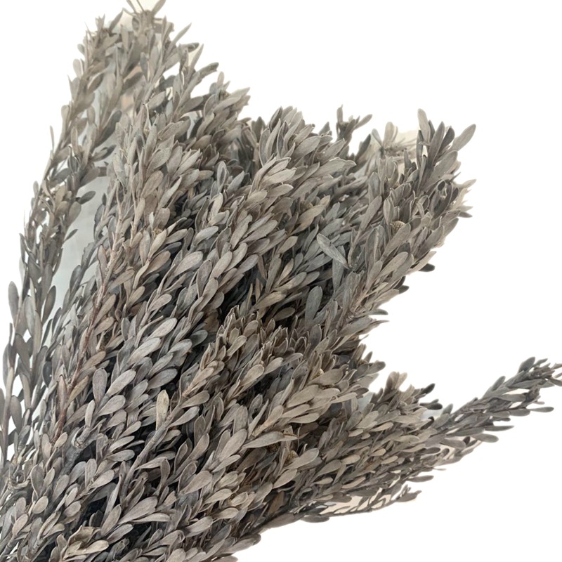 微信图片_20200423120927