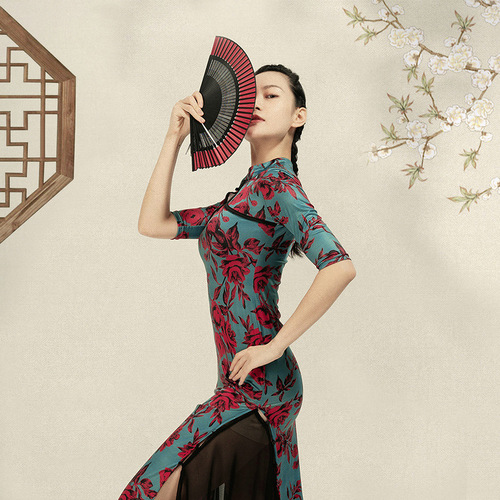 Mesh-improved qipao Hanfu classical dance practice dress for women, Eastern dance printed qipao classical dance practice dress for women skirt