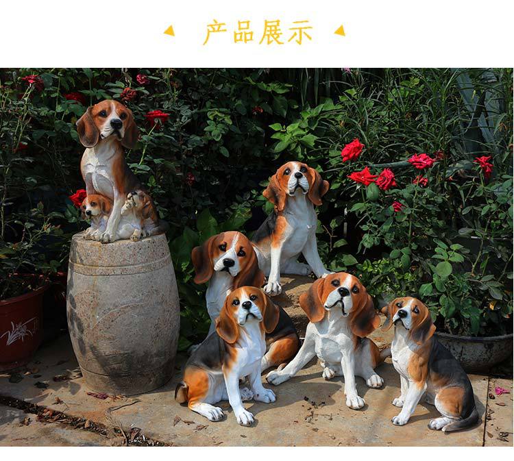 比格犬_15.jpg