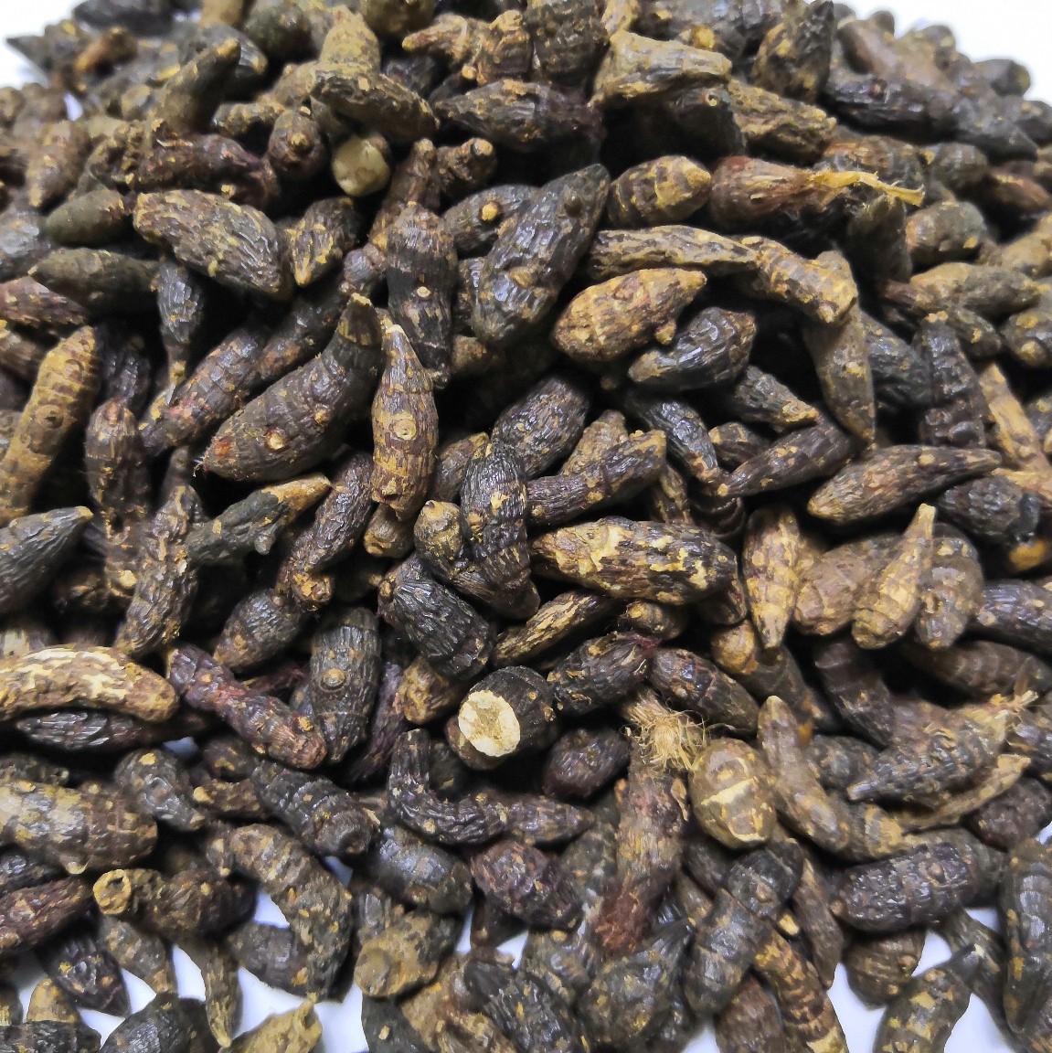 Xiang Fu Cyperus Rhizome Slices Dried Xiang Fu Zi Herbal Decotion Pieces 1kg Bag quality and texture