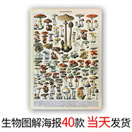 12785955331_1129658335.400x400