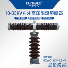 ߉۔RW10RXWORWJ-35/40.5kv0.5A1A2A3aPTU