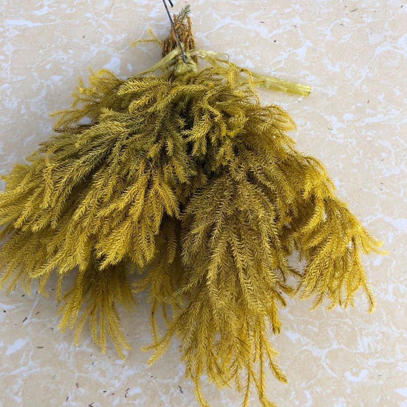 微信图片_20200221143032_副本