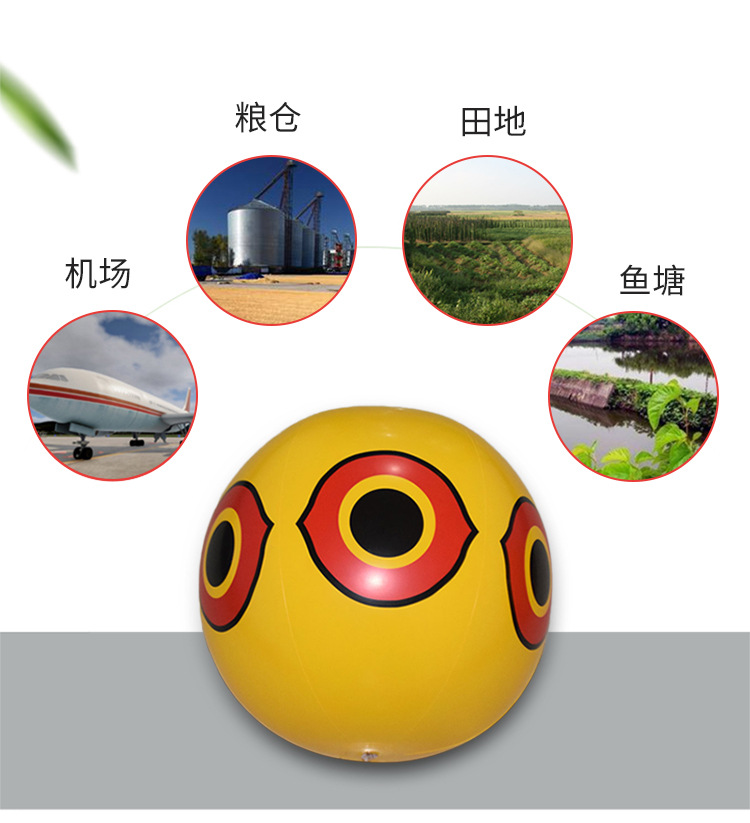 未标题-2-副本_06