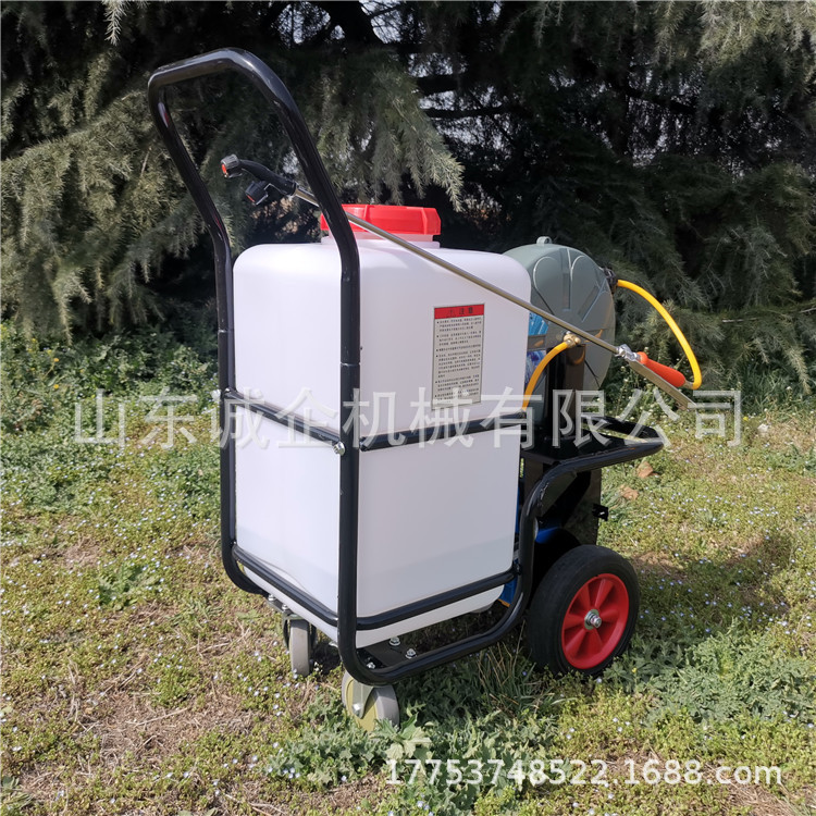 双泵可同时工作推车式电动喷雾器 四轮农用高压打药机诚企批发