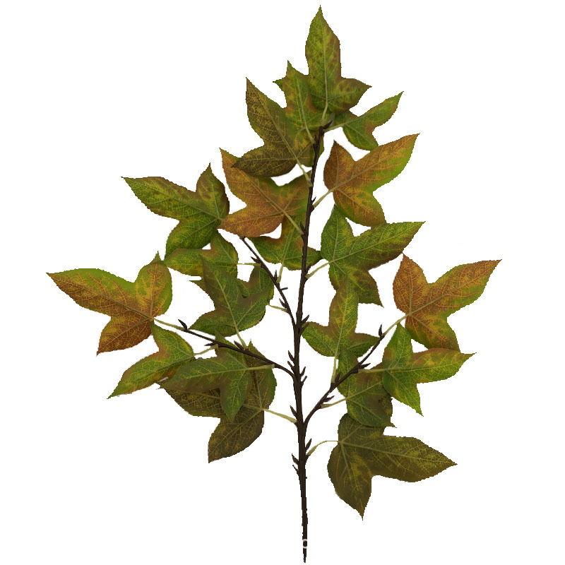 XRB-158 三角枫秋3.jpg