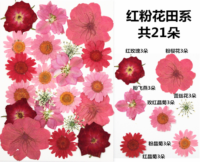 IMG_3581_副本_副本