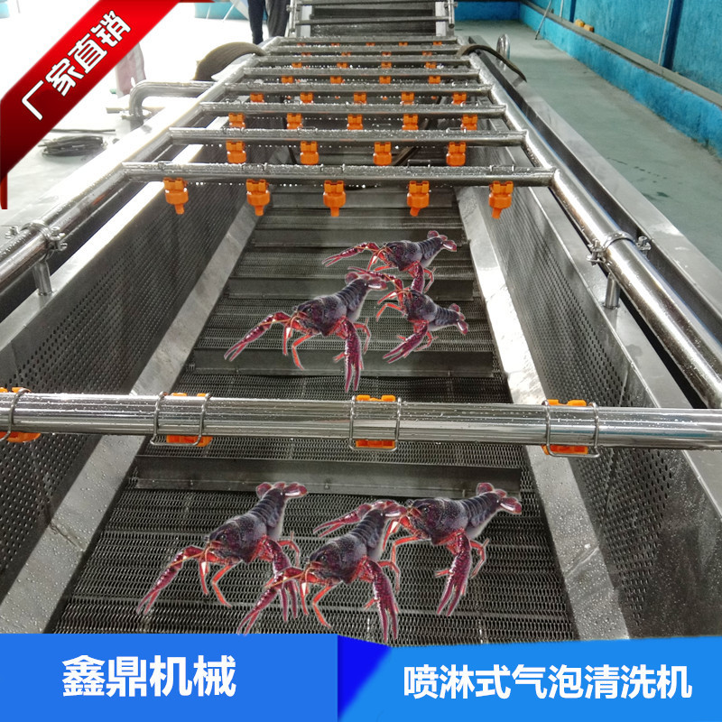 养殖场专用小龙虾高压气泡喷淋清洗机 苹果气泡翻浪清洗机