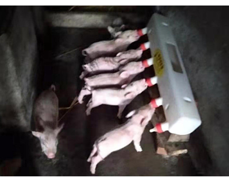 7L喂奶器AB详情页 (9).jpg