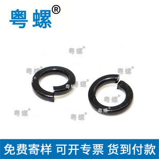 8.8 ɉ|Ȧ ߏȏ|  M6M8M10M12  Sҹ