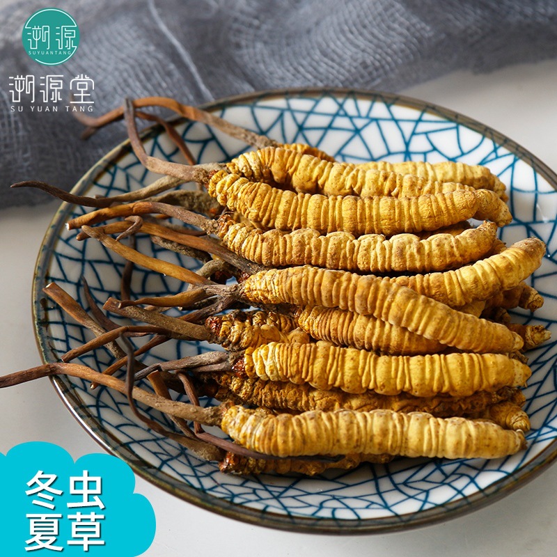 冬蟲夏草 全幹無斷草 西藏那曲冬蟲夏草禮盒裝 凍幹蟲草批發代理