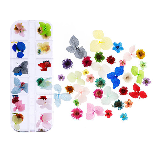 Nail art dried flowers 12 colors new set hydrangea narcissus daisy manicure stickers Japanese manicure accessories