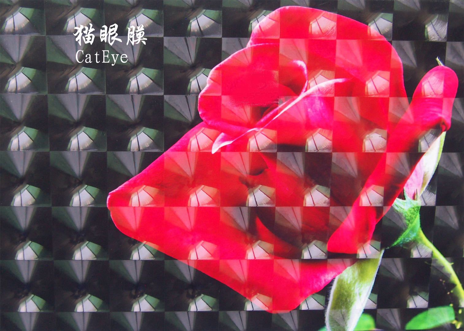 ورشش إعلان BPVC Black Farch Black Bark على أغشية رقيقة من الغطاء الواقي الواقي detail image 12