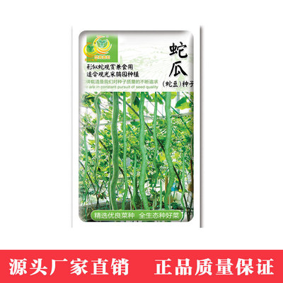 鳳鳴雅世 蔬菜種子瓜種子盆栽水果種子菜種子春季 蛇瓜種子10粒