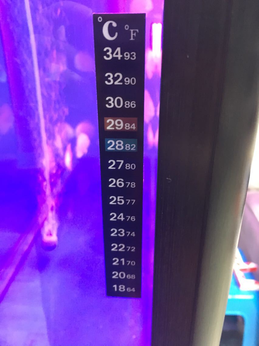 4657039402_919320411