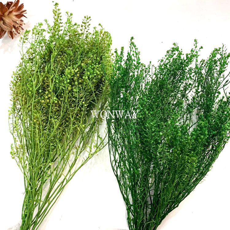 微信图片_20200224124810_副本