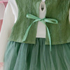Female baby princess skirt 2020 new 1-3-year-old children's skirt 2 baby spring and autumn girl foreign aura dress
