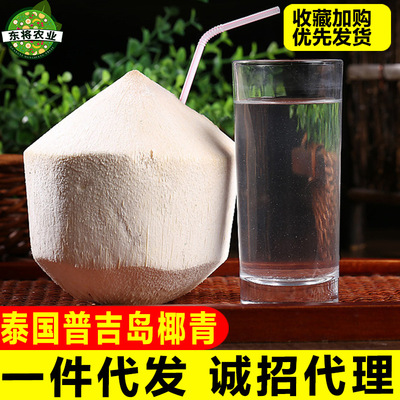 泰国普吉岛进口椰青2个装新鲜去皮多汁椰子孕妇当季水果批发包邮|ms