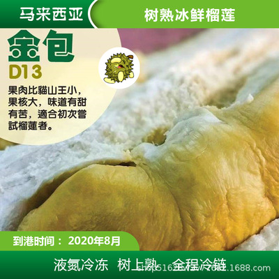 Malaysia D13 Gold package Zhuque Durian Tree liquid nitrogen Chilled Freezing Golden Pillow Sanno