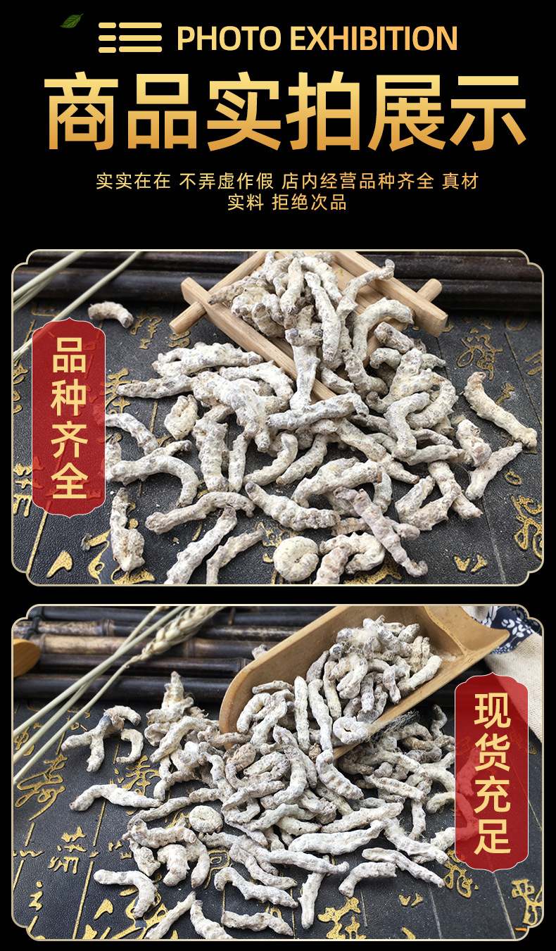 White Silkworm Jiang Can Dried Bombyx Batryticatus Bulk Chinese Herb 500g in use