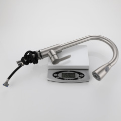 Guangdong 304 stainless steel heavy-duty kitchen pull-out faucet with cold and hot brushed water basin sink pull-out spout