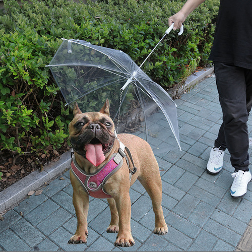 Amazon Pet Umbrella Teddy Small Dog Leash Dog Walking Umbrella Dog Raincoat Umbrella