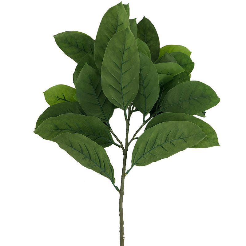 XRB-009 春色高榕叶五叉枝4.jpg