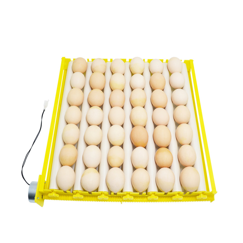 Incubadora automática Placa de huevo 56 Placa de huevo combinación de motor 156 Placa de huevo placa incubadora Accesorios