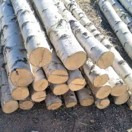 装饰树木造型 装饰树木造型厂家 品牌 图片 热帖 阿里巴巴