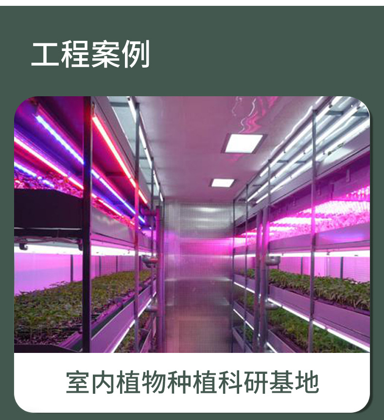 大麻灯-不带品牌名1111_10