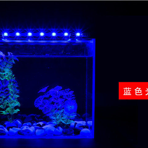 81a5531550e2fb84fd5d9d1d20bf54