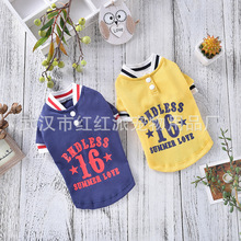 Сﱡ· ̩όСȮ\POLO·