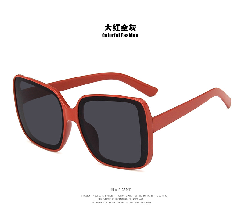 Simple Style Women's Sunglasses display picture 3