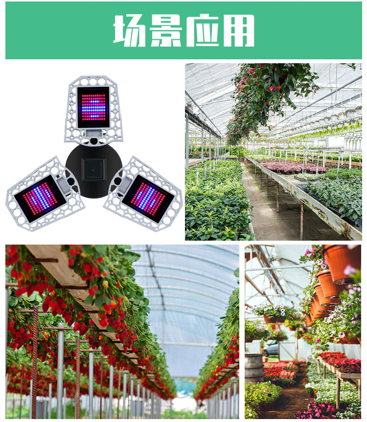 全光谱-植物灯-(阿里巴巴）（红蓝光）详情页_12.jpg