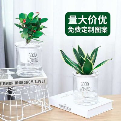 美轩懒人花盆自动吸水透明圆形塑料水培花盆创意树脂多肉植物花盆|ms