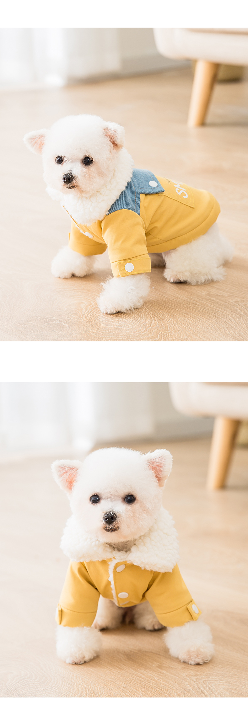 Dog outfit 6