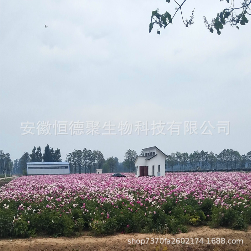 QQ图片20200222122255