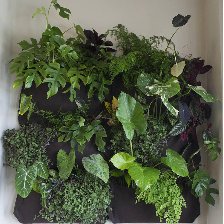 东莞厂家供应针刺毛毡布 壁挂式毛毡植物袋 墙壁毛毡种植挂袋