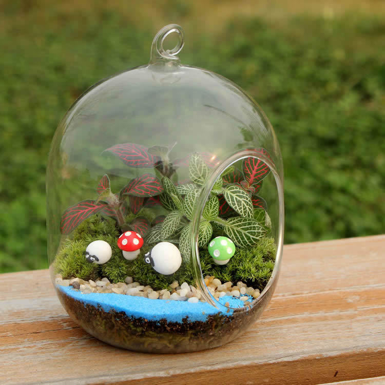 Musgo micro paisaje florero de cristal creativo mini planta DIY olla decoración de la Oficina planta suculenta florero