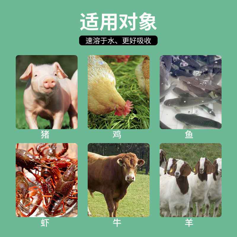 厂家直供电解多维饲料添加剂复合维生素预混料养殖用水产多维 阿里巴巴 