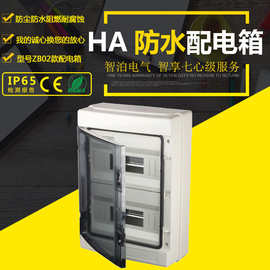厂家HA-24WAYS防水透明盖室外明装配电箱塑料空开盒IP65防水箱