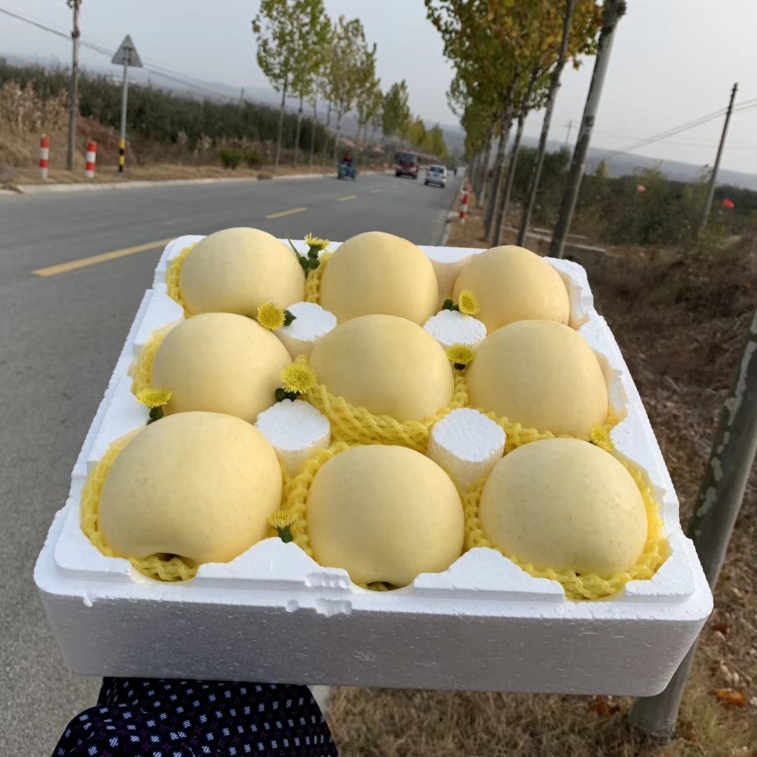 810c8720a75b87cc0138811926cb5e