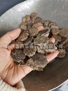 ���l��ș��ľ�M�� ��؛�o��ľ�M�� ©���� ��ͩ�� ��؛����ľ�M��